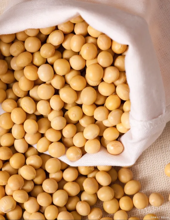 黑龙江非转基因黄豆小粒榨豆浆生豆芽专用