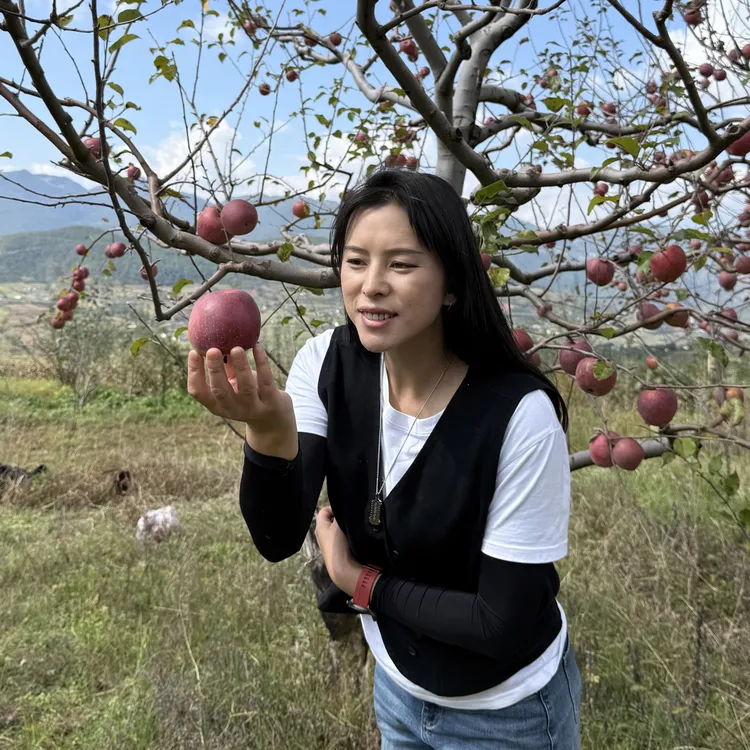 云南宁蒗糖心丑苹果新鲜现摘冰糖心脆甜应季水果