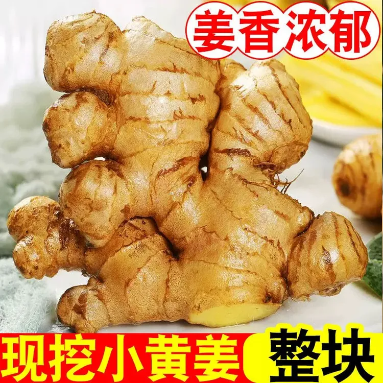 【大山助农】正宗云南小黄姜新鲜生姜精品老姜蔬菜辛辣味十足批发