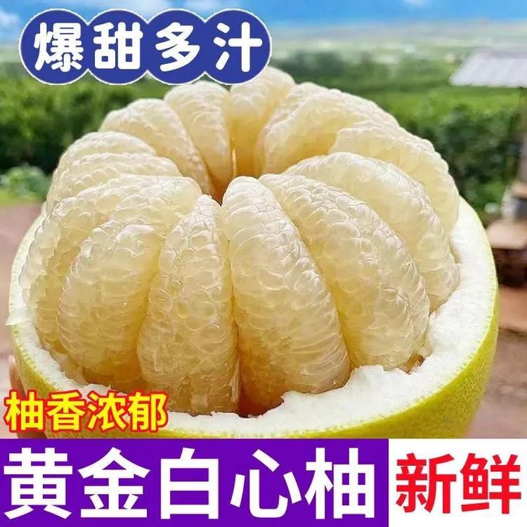 【白玉蜜柚】正宗广西白心柚新鲜白肉蜜柚头茬白柚超甜柚子