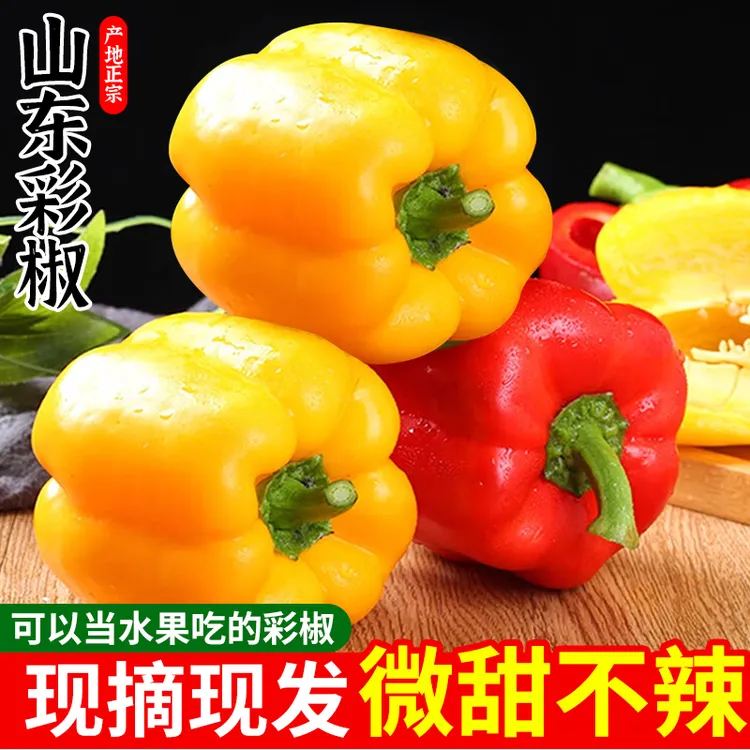 山东红黄双色彩椒水果营养个大生吃微甜无辣圆椒香甜脆五彩水果椒