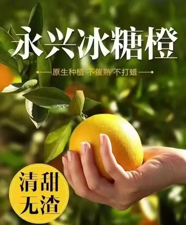 正宗冰糖橙自然树熟香甜多汁当季新鲜水果