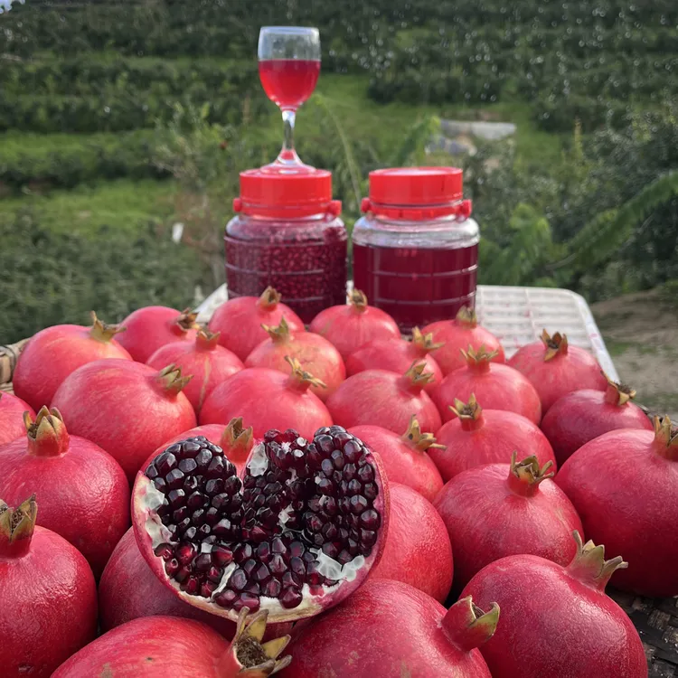 正宗攀枝花鸽血酸石榴黑珍珠酸石榴新鲜孕妇水果泡酒酸石榴爆酸