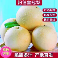 【脆甜多汁】正宗皇冠梨新鲜当季水果现摘现发皮薄多汁
