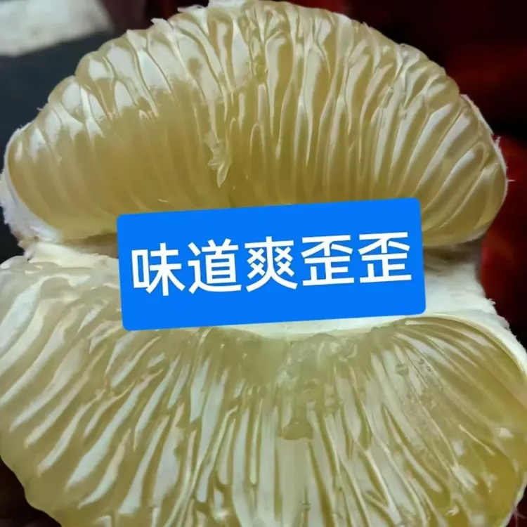 安江雪峰柚，清甜爽口，冬秋润肺优选柚子