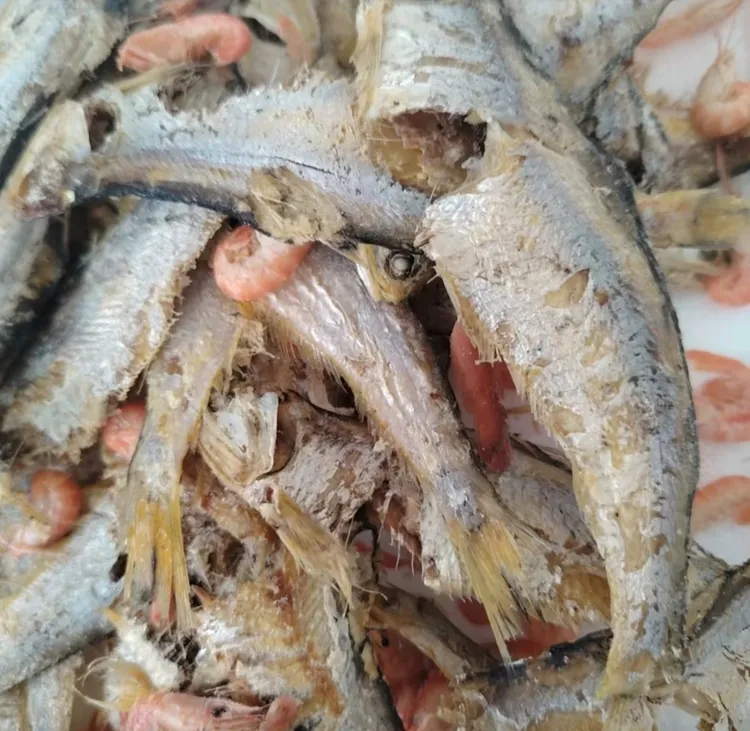 即食熟马口鱼虾混合3斤(新疆西藏不发货)