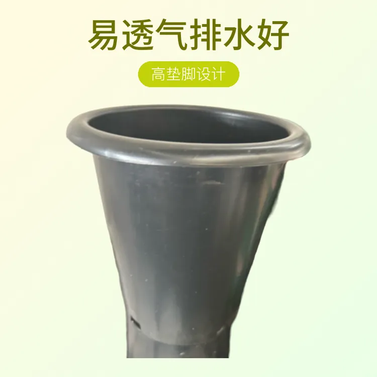 【兰花/万象盆多款】黑色景天多肉绿植专用款透气绿植盆栽室内