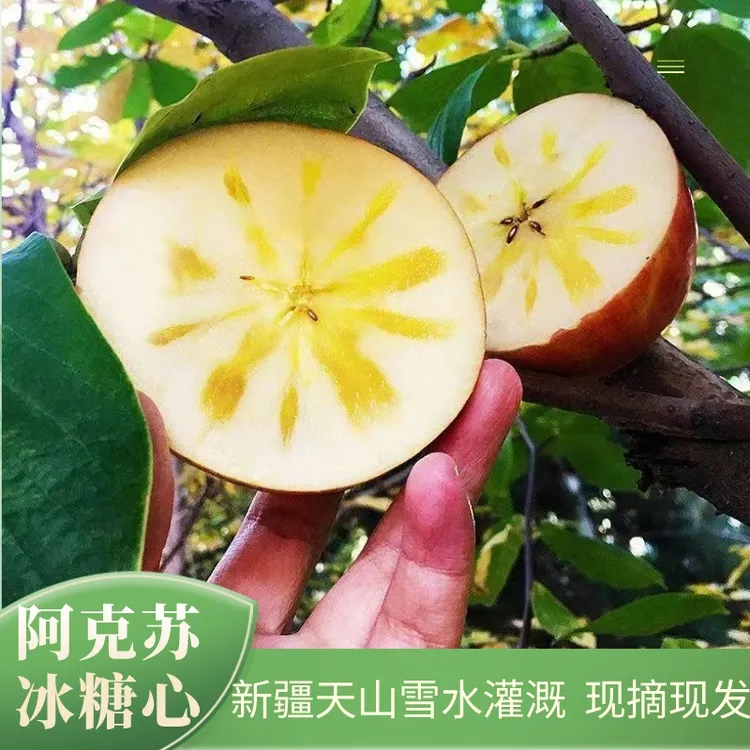 【顺丰/京东】新疆冰糖心苹果 红富士 新鲜自然成熟 多汁