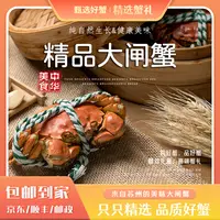 活蟹【金标大闸蟹】全母蟹4.0-3.7两加2只到手8只 礼盒顺丰