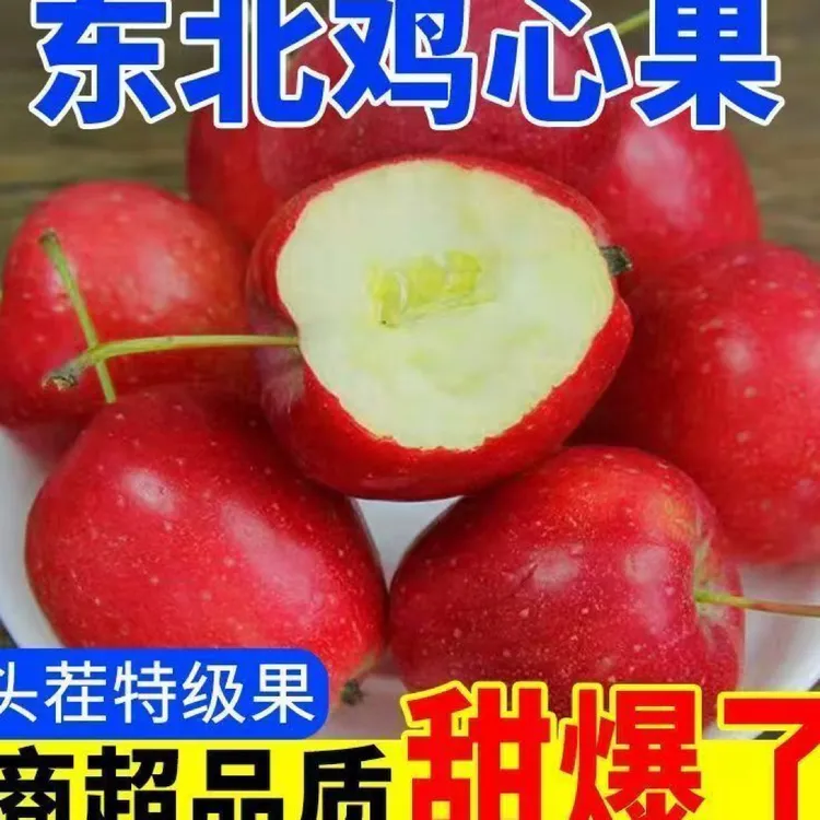 果园直发当季现摘鸡心果糖心海棠果东北特产沙果新鲜3-5包邮