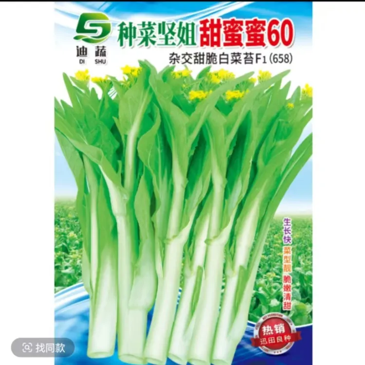种菜的坚姐甜蜜蜜60白菜苔种子秋播蔬菜种籽耐寒口感好脆嫩清甜