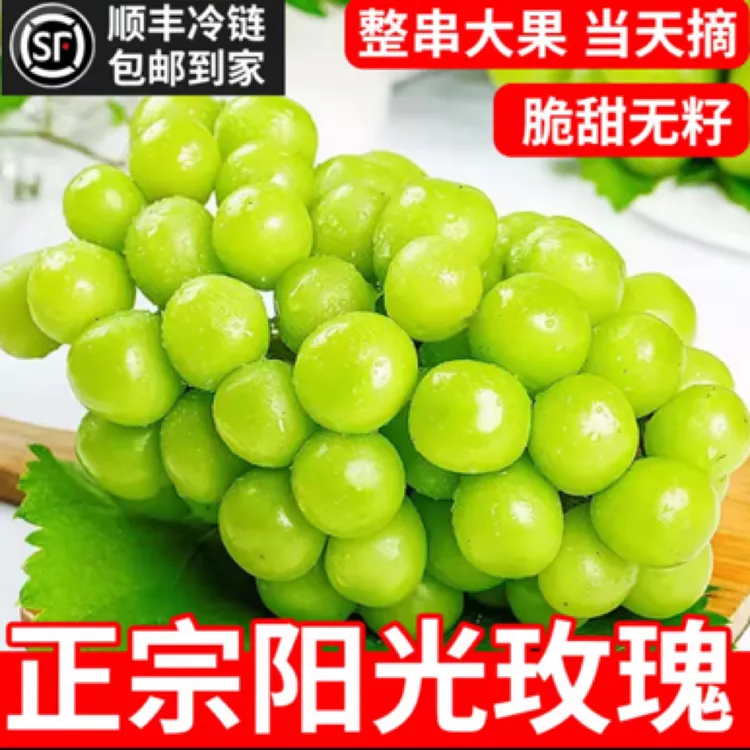 【阳光玫瑰】葡萄晴王脆甜无籽新鲜果园现摘现发3/5斤包邮