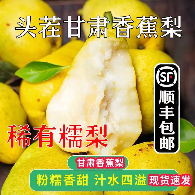 【甘肃天水香蕉梨太婆梨】产地直发新鲜采摘梨软糯香甜当季薄皮大果