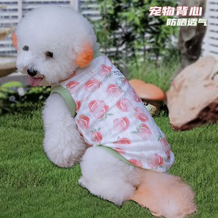 夏季宠物狗狗猫咪薄款透气背心衣服外套比熊中小型外出遛狗服装