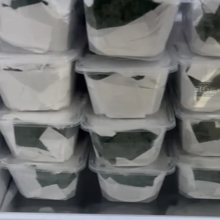 新鲜马尾青苔1000ml盒装顺丰包邮