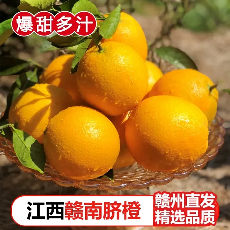 2025年新果正宗赣南脐橙当季新鲜手剥甜橙子孕妇水果