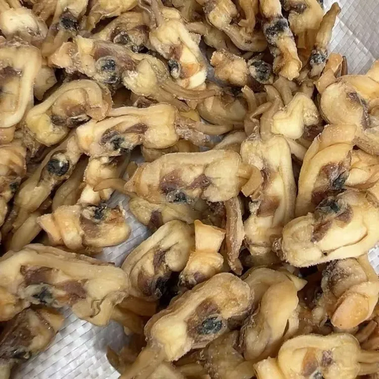 福建特产蛏子无沙新鲜蛏子海产干货野生淡干即食特级蛏干福建蛏干