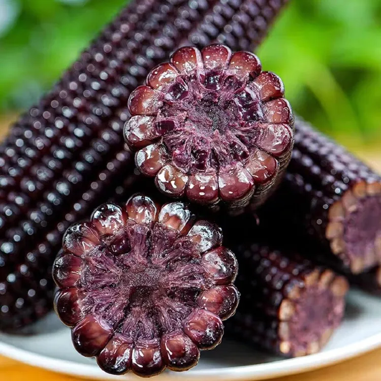 山西黑玉米糯玉米头茬新鲜真空包装整箱甜糯粘棒即食