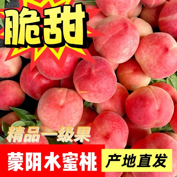 山东蒙阴金秋红蜜现摘红桃脆桃应季水果脆甜多汁孕妇桃子产地直发