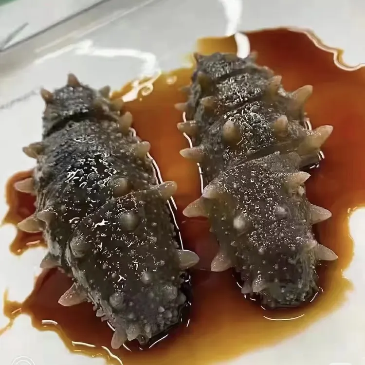 福建霞浦鲜食海参（8-12头/斤）新鲜速冻营养丰富送礼口感Q弹