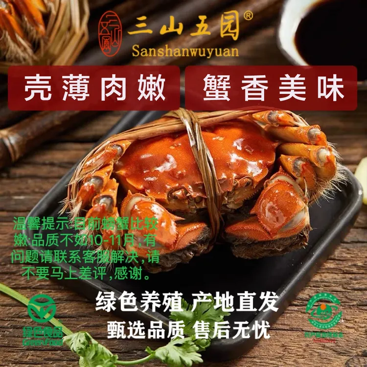（活蟹）溱湖簖蟹生鲜大闸蟹单只4.5两母8只/10只礼盒装中秋家宴