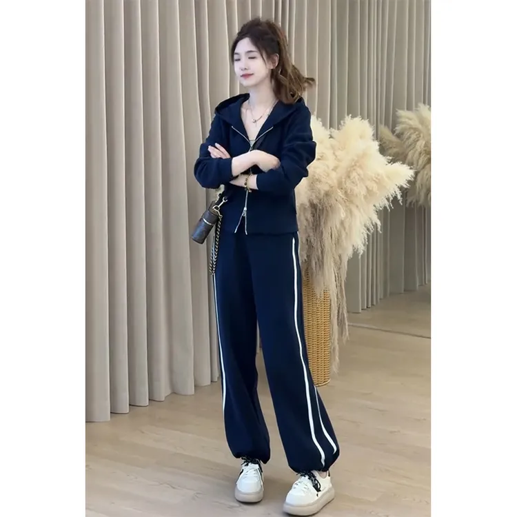 秋季新款时尚休闲运动套装女时尚减龄显瘦连帽卫衣休闲裤两件套装