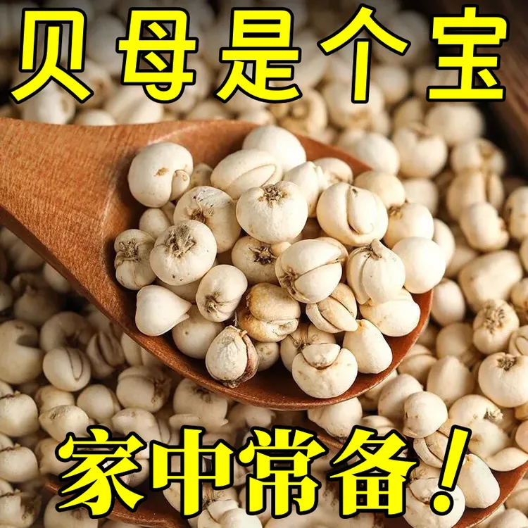 贝母天然贝母四川贝母可搭麦冬陈皮煮水老陈皮丝泡水橘子皮平贝母