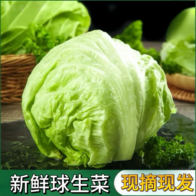 【直降】球生菜 新鲜发货汉堡蔬菜沙拉火锅专用 结球生菜圆生菜