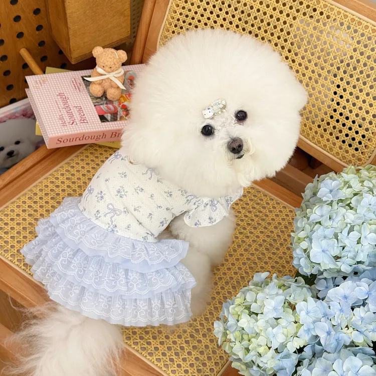 猫猫狗狗小中大型犬网纱防掉毛猫咪背心狗狗衣服飞袖花边公主裙