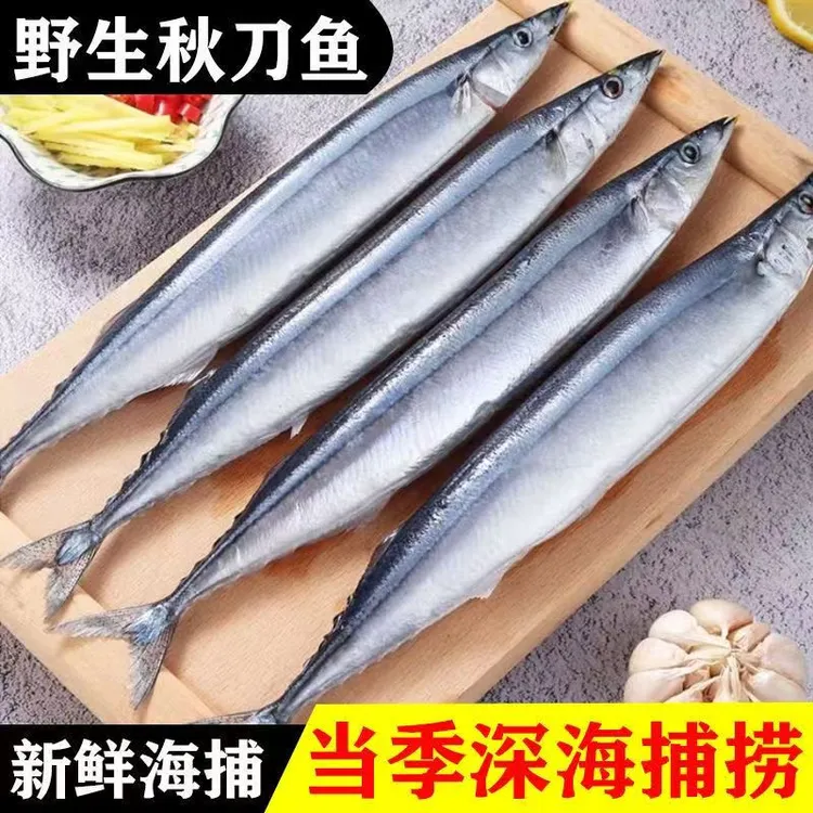 【顺丰】野生秋刀鱼新鲜冷冻深海海鲜烧烤食材日式烧烤秋刀鱼海鱼
