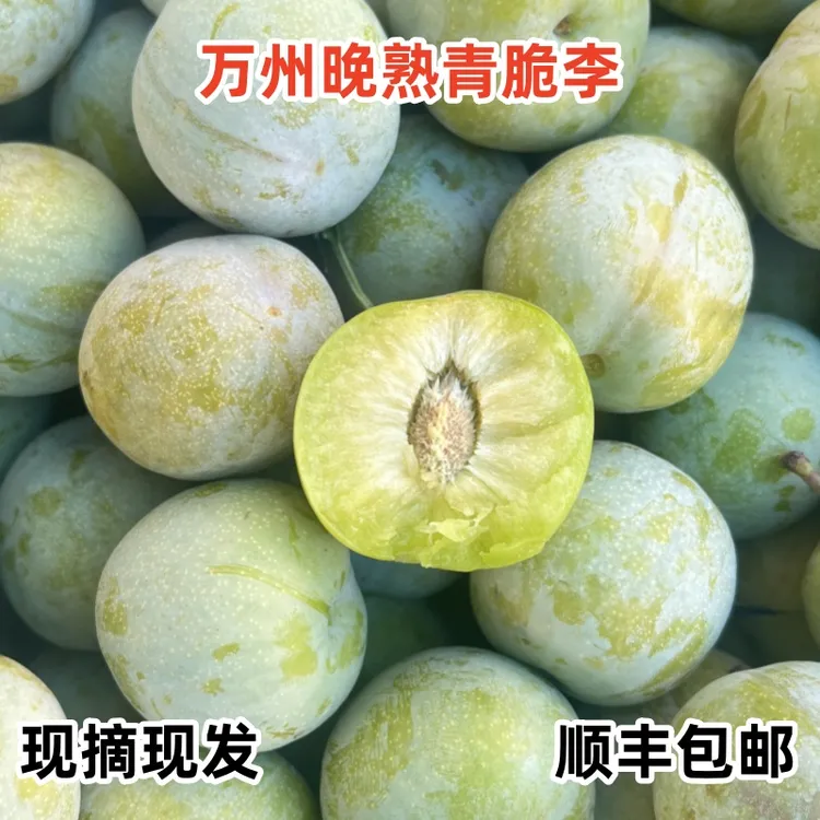 （顺丰冷链）重庆万州分水晚熟青脆李巫山脆李应季孕妇酸甜新鲜水果