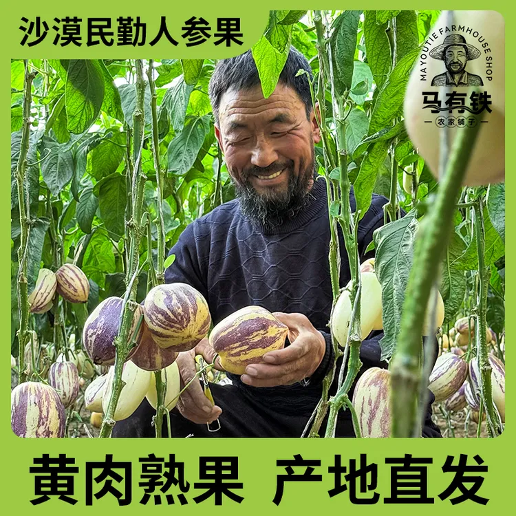 甘肃沙漠民勤人参果黄心黄肉4.5斤装清甜爆汁产地直发新鲜水果