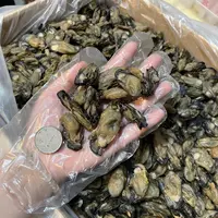 珠海发货珠蚝生蚝干蚝豉 煲汤煲粥焖猪蹄 海味干货