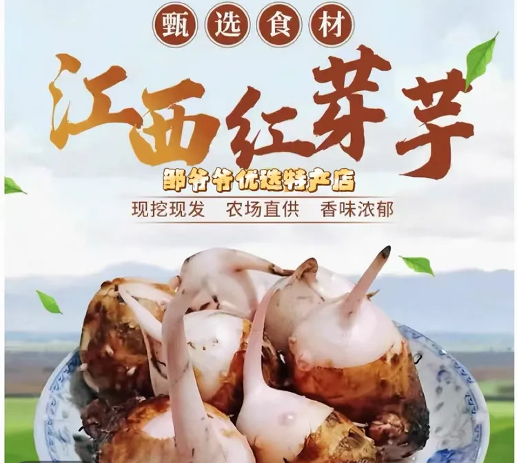 【顺丰包邮】江西铅山红芽芋农家自种现挖现发头茬软弱香甜牛奶芋