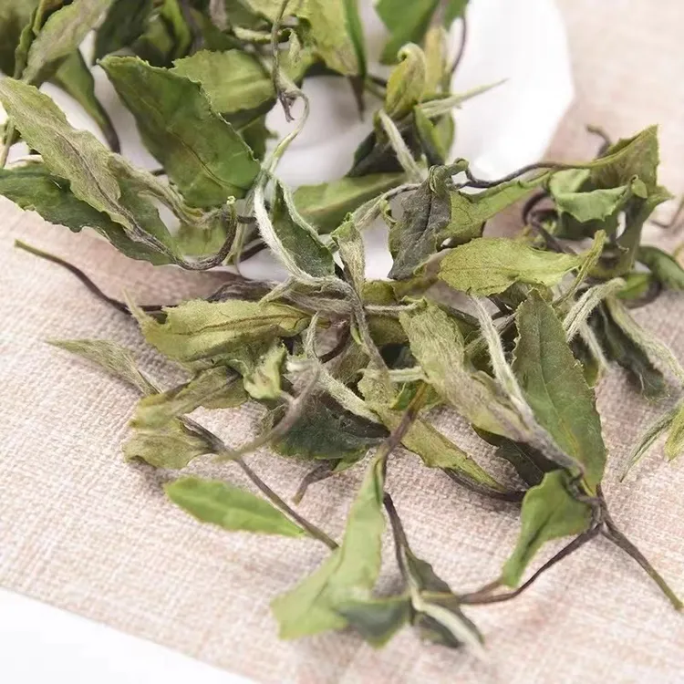 福鼎春寿眉2025年磻溪花香春寿眉散茶