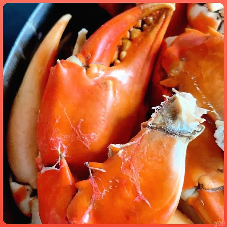 新鲜青蟹腿特大蟹钳大肉多海鲜水产活蟹冷冻青蟹脚野生现掰蟹肉