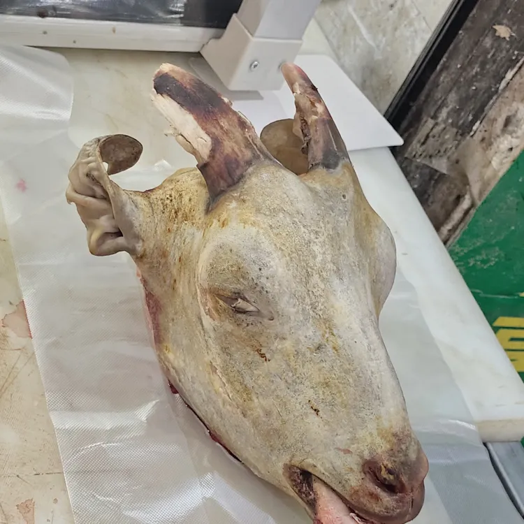 火烧羊头带肉带舌顺丰包新鲜山羊头批发羊头肉团购团购套餐羊肉