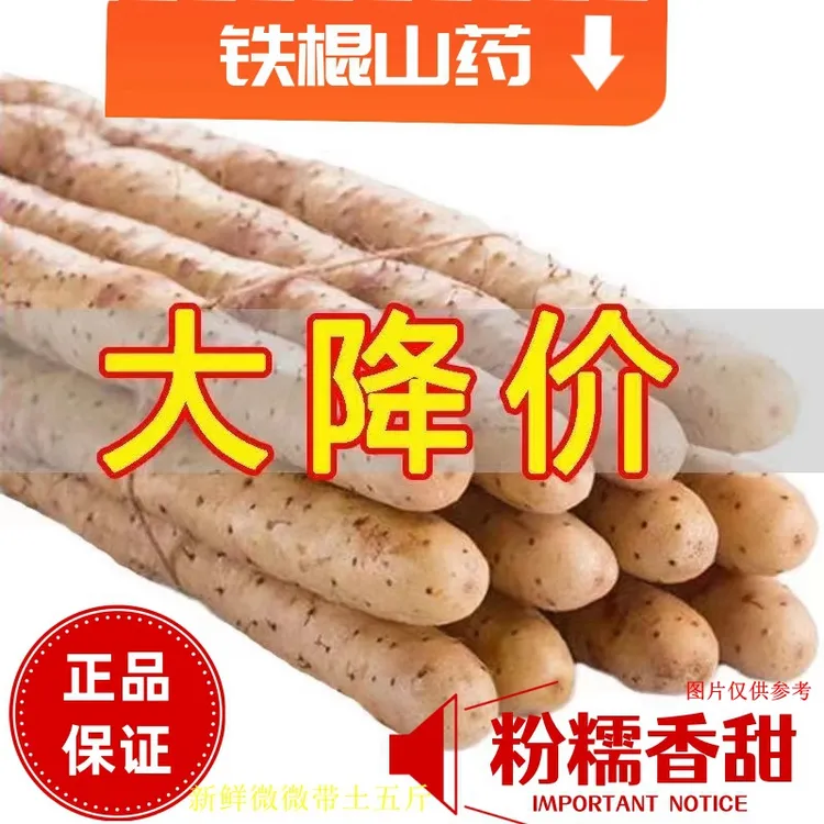 铁棍山药软糯香甜营养美味生鲜带箱五斤现挖微土30-40厘米