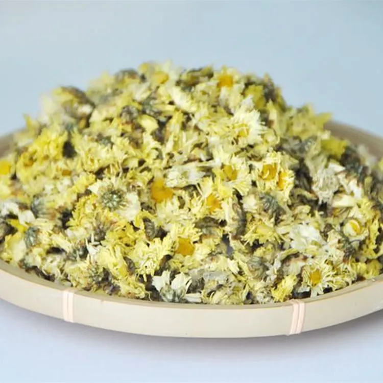 福白菊朵菊湖北麻城菊花农家自种朵菊散花头茬花250克非杭白菊花