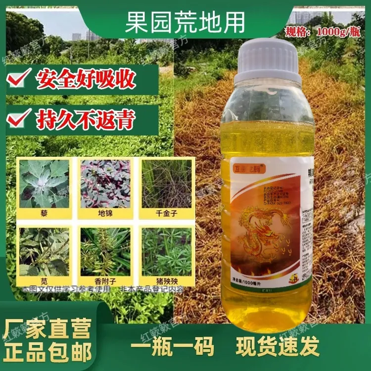 高含量抗性牛筋草小飞蓬节节草果园田埂适用园林荒地强力除草剂