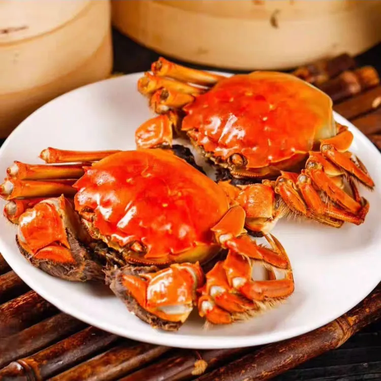 QX【活蟹】盘锦河蟹 稻田蟹 全母蟹 鲜活发货 包邮1到0.8两/只