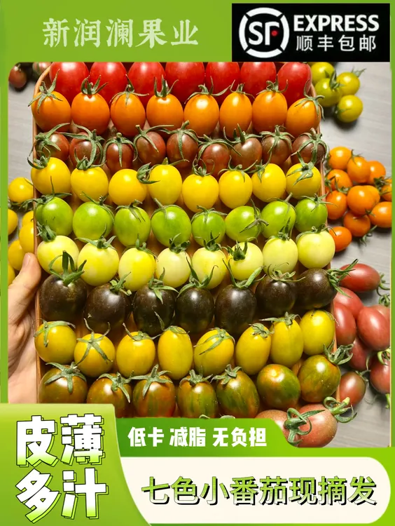 【顺丰包邮】现摘现发七彩小番茄精包装新鲜采摘香甜多汁