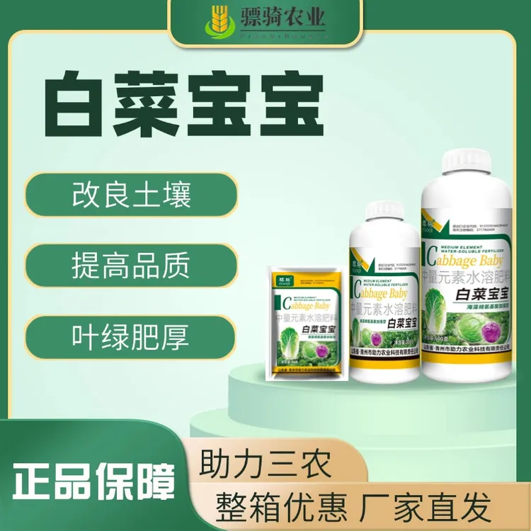 白菜宝宝大白菜甘蓝加速包心剂叶片厚实膨大提早上市