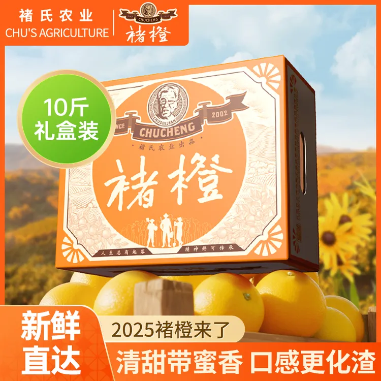 褚橙官方旗舰店10斤礼盒褚橙M/L/XL/珍品果云南哀牢山新鲜冰糖橙