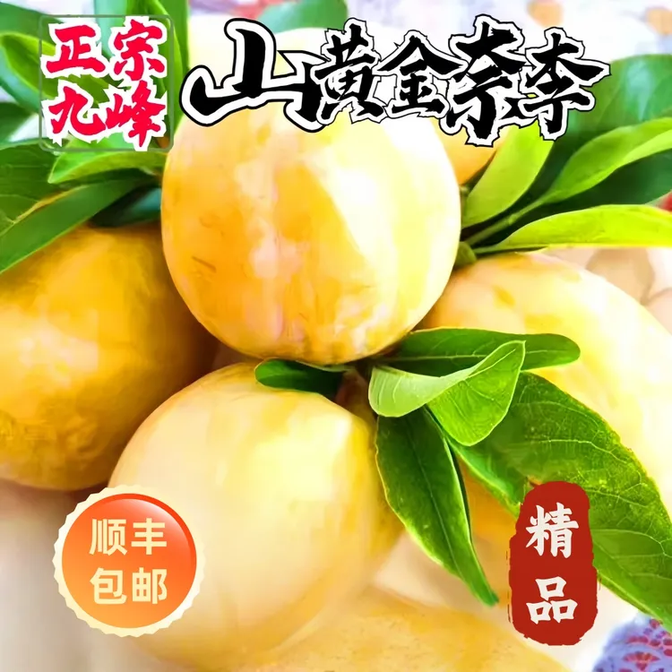 正宗乐昌九峰山黄金奈李包甜现摘新鲜孕妇水果脆甜多汁顺丰包邮