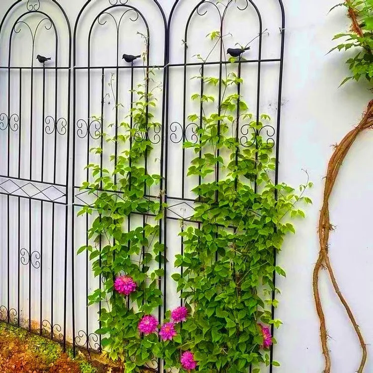 铁线莲月季爬藤架子蔷薇植物攀爬花支架户外庭院花园铁艺栅栏支架