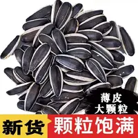 买一斤送一斤内蒙古新鲜原味大颗粒炒熟葵花籽零食必备