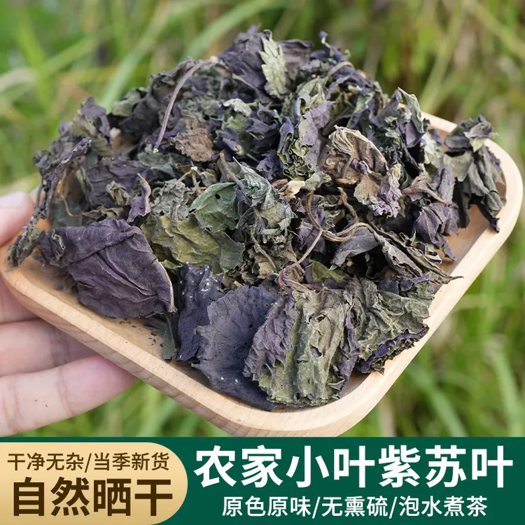 紫苏叶四川巴中农村坡上采的紫苏叶当季新货不熏硫煮水泡水煮鸡蛋