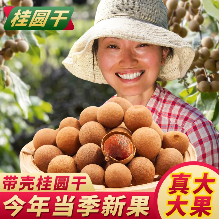 大果桂圆干新货龙眼干特产批发果肉干货泡水炖汤年货无干燥剂包邮