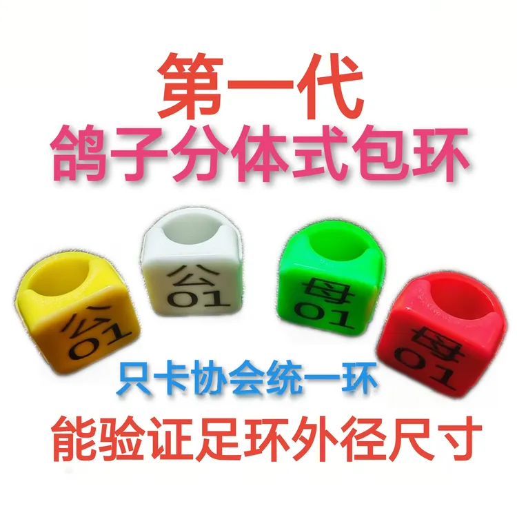 换代清库存鸽子配对环分体式包环专卡协会统一环双卡扣现货配对